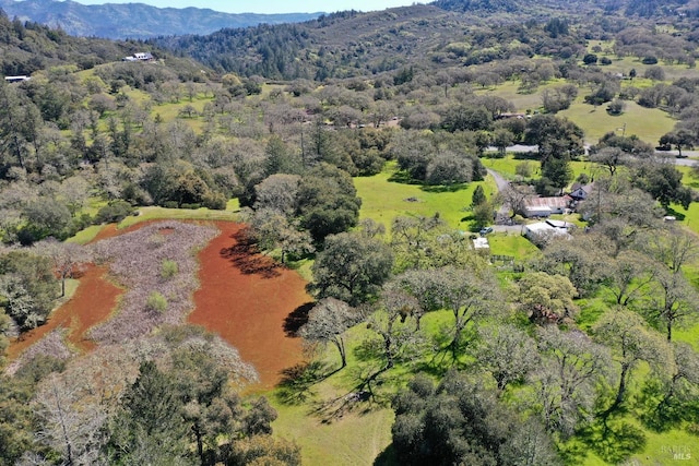 birds eye view of property with a water and mountain view