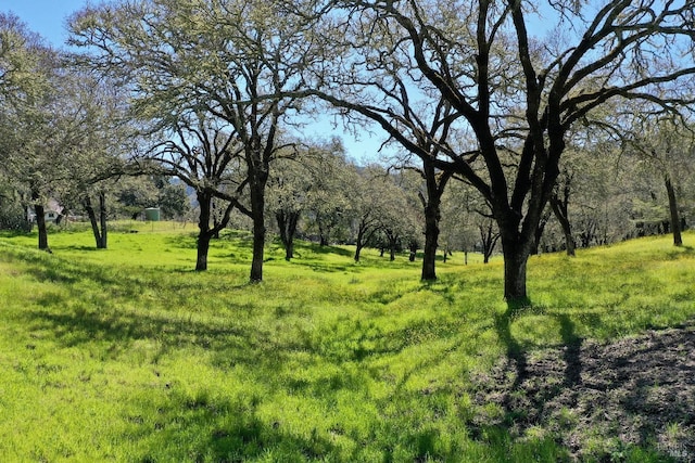 view of nature