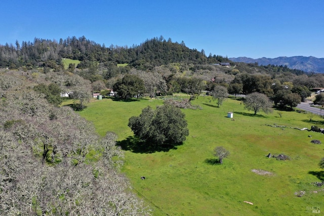 birds eye view of property featuring a mountain view and a rural view