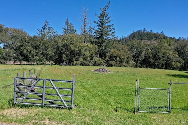 view of yard with a rural view