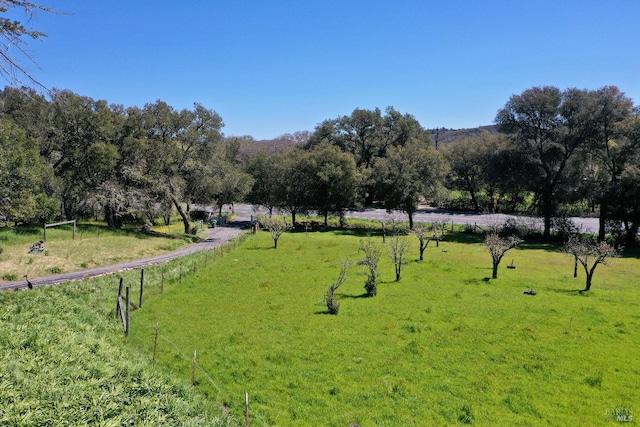 view of property's community featuring a lawn and a rural view