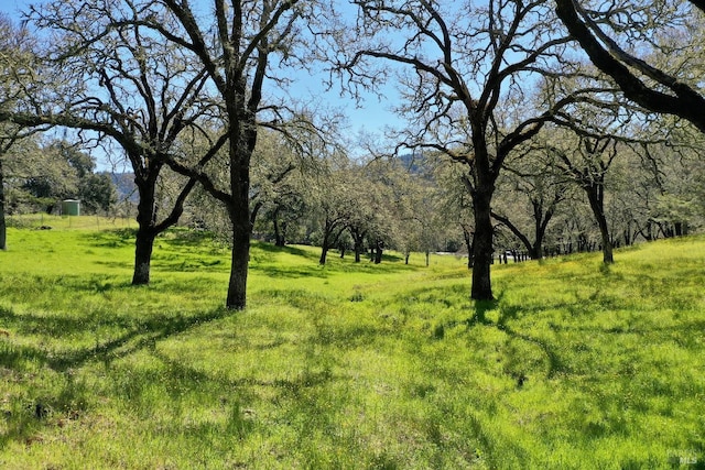 view of nature