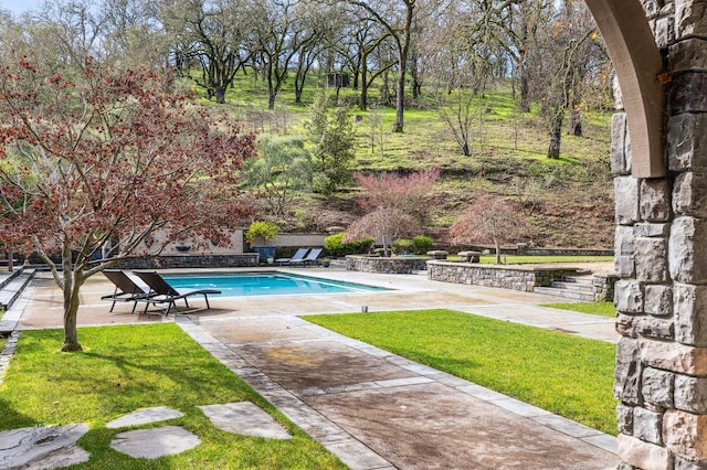 view of swimming pool with a patio and a lawn