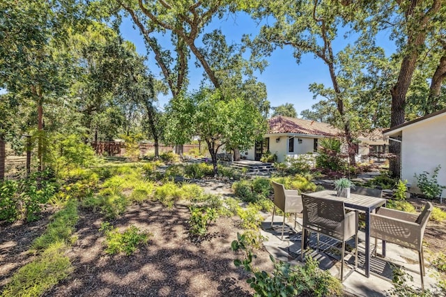 view of yard featuring a patio area