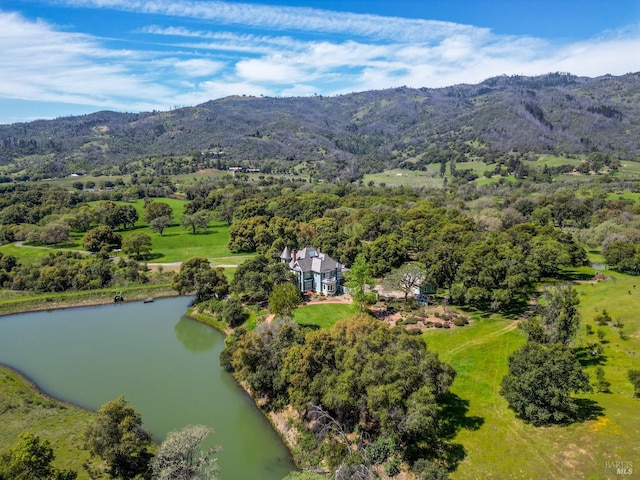 aerial view with a water and mountain view