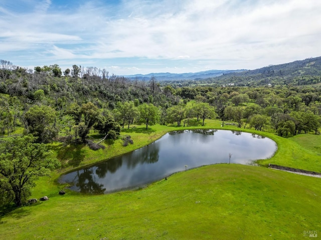 view of property's community featuring a water and mountain view