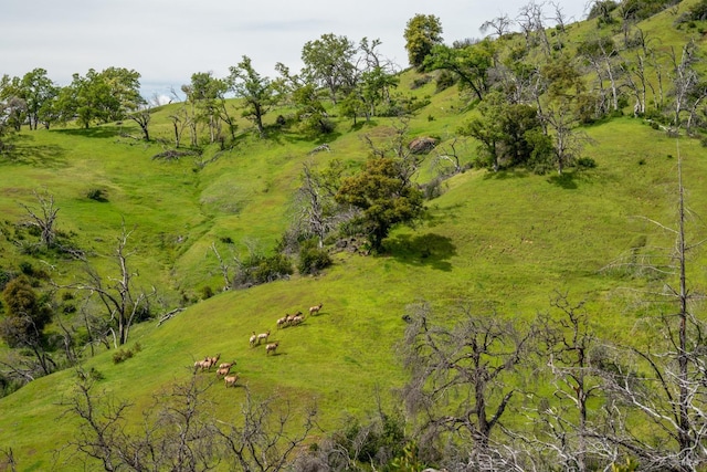 aerial view with a rural view