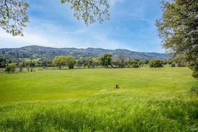 view of mountain feature