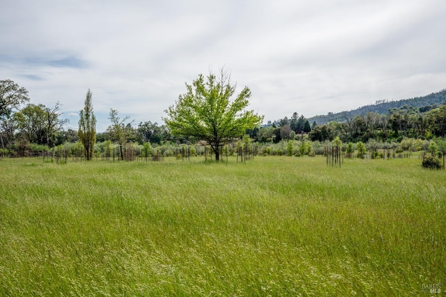 view of yard featuring a rural view