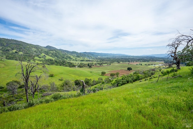 property view of mountains with a rural view