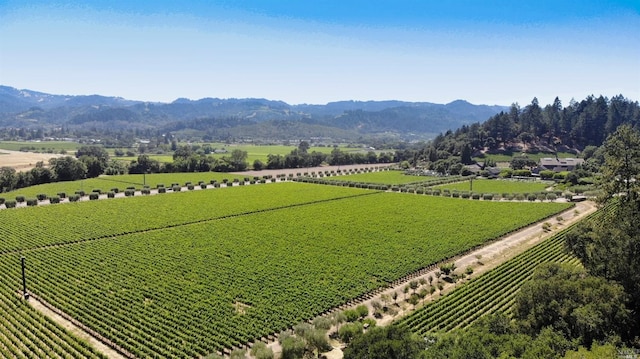 birds eye view of property with a mountain view and a rural view