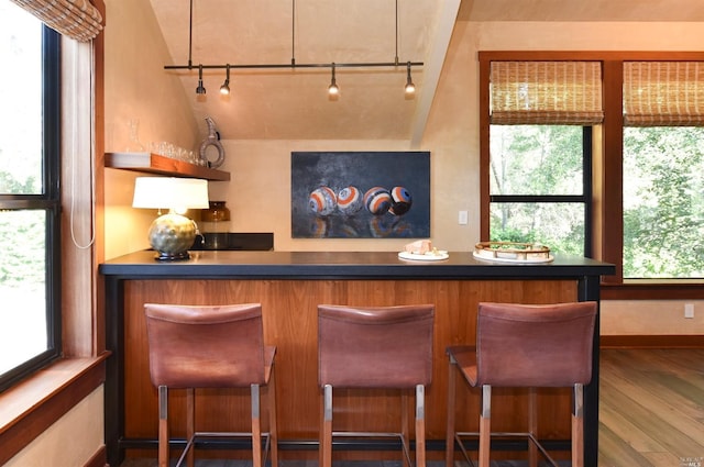 bar featuring a wealth of natural light, track lighting, and lofted ceiling