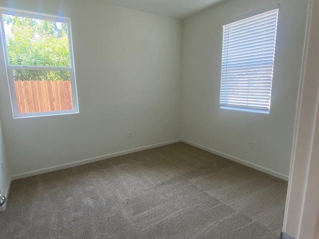 empty room featuring carpet flooring