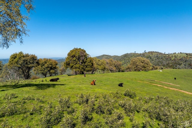 property view of mountains featuring a rural view