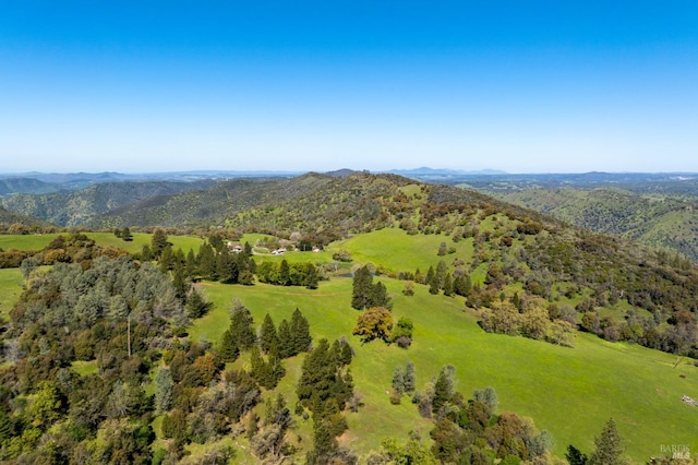 drone / aerial view featuring a mountain view