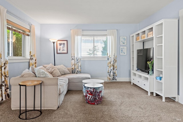 living area with carpet, a healthy amount of sunlight, and baseboards