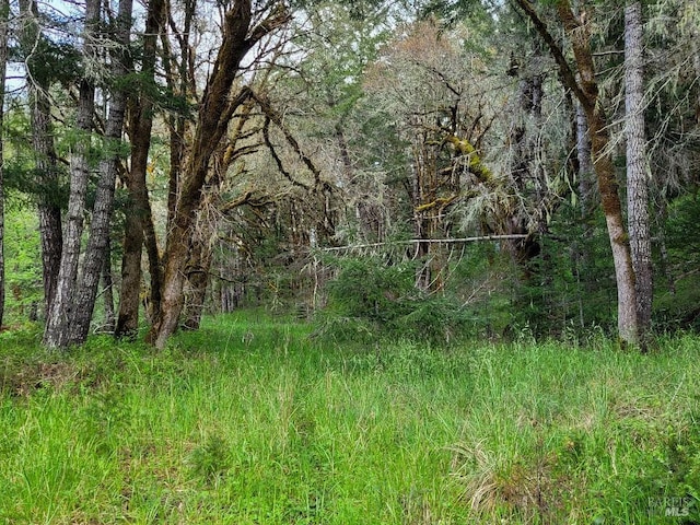 0 Muir Mill Rd, Willits, CA 95490