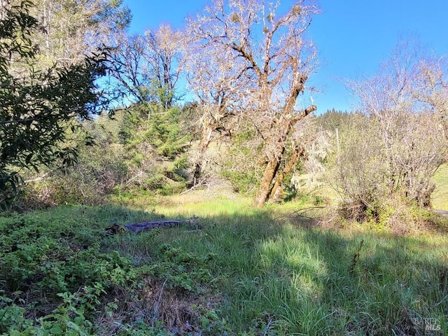 Listing photo 3 for 0 Muir Mill Rd, Willits CA 95490