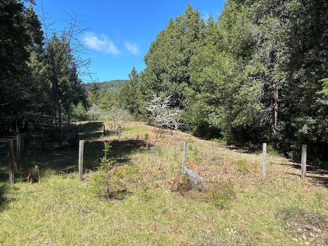 view of local wilderness