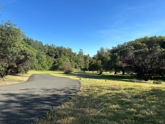 4013 Lakeview Dr, Nice, CA 95464 - view of road