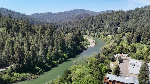 bird's eye view with a water view and a wooded view