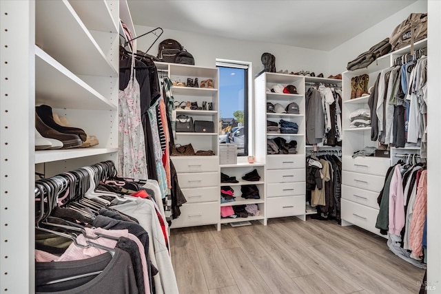 spacious closet with light wood-type flooring