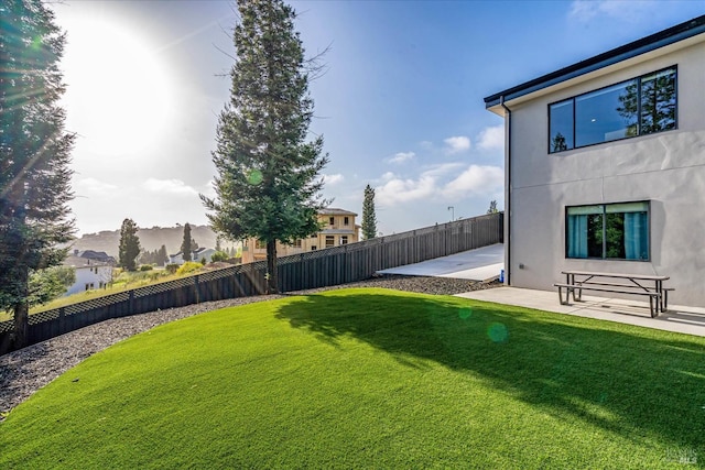 view of yard featuring a patio area