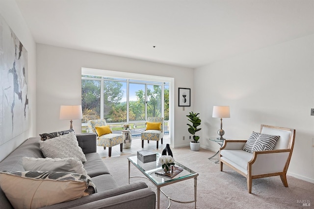 living room featuring light colored carpet