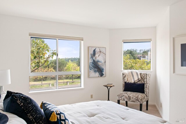 carpeted bedroom with multiple windows