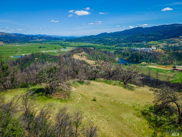 0 Silverado Trl N, Calistoga CA, 94515 land for sale