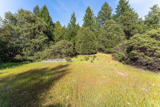 Listing photo 3 for 0 Cougar Rd, Willits CA 95490