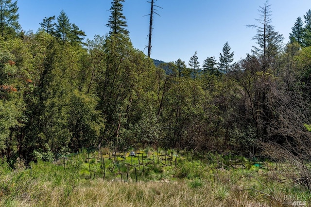 27651 Skyview Rd, Willits, CA 95490 - view of tree filled area