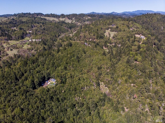 aerial view with a mountain view