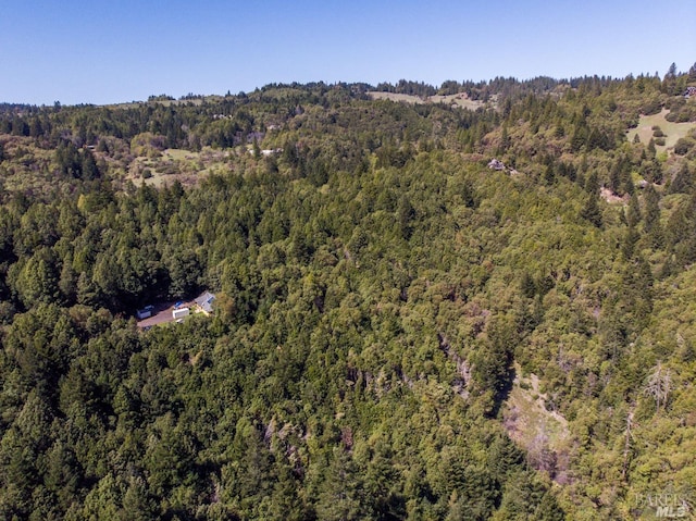 27651 Skyview Rd, Willits, CA 95490 - view of property location with a heavily wooded area