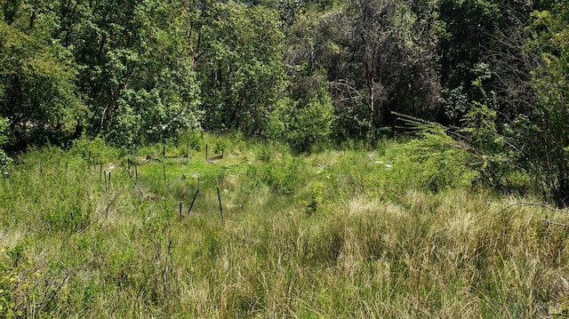 27651 Skyview Rd, Willits, CA 95490 - view of undeveloped land