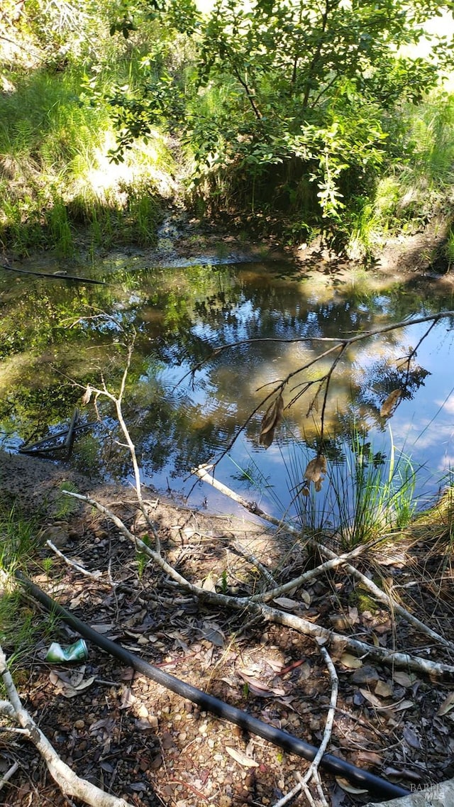 27651 Skyview Rd, Willits, CA 95490 - view of nature