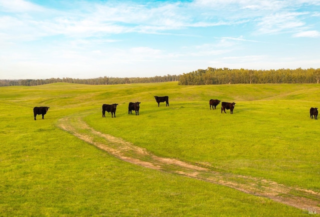 drone / aerial view with a rural view