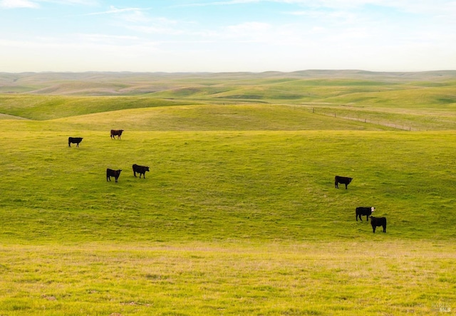 surrounding community featuring a rural view