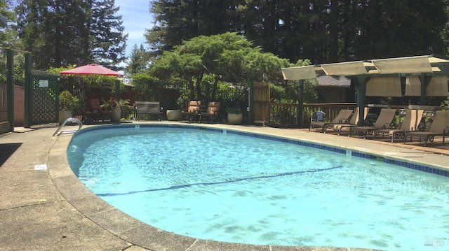 view of pool featuring a patio area