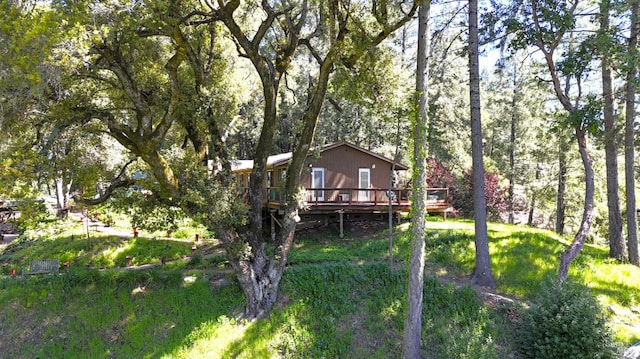 view of yard featuring a wooden deck