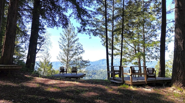 view of yard with a mountain view and a dock