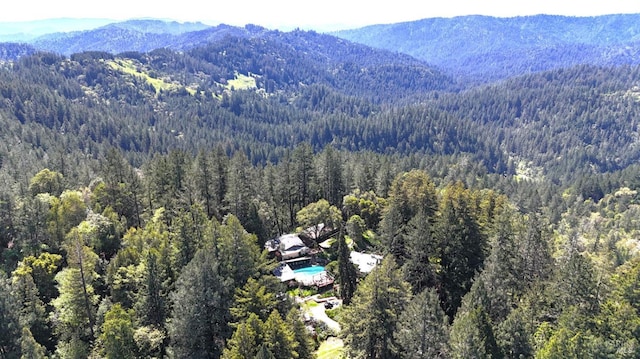 drone / aerial view with a mountain view