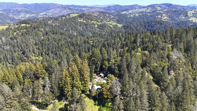 bird's eye view featuring a mountain view