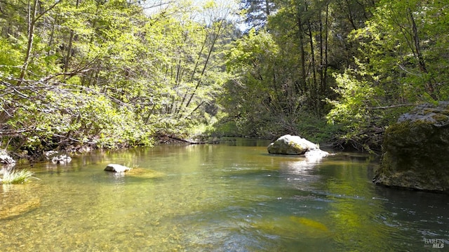 property view of water