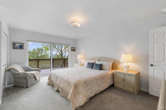 carpeted bedroom with a closet and access to exterior