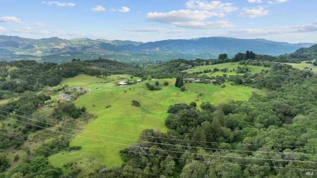 aerial view with a mountain view