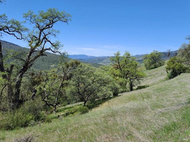 Listing photo 3 for 35776 Mendocino Pass Rd, Covelo CA 95428