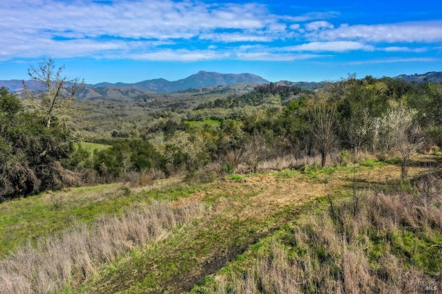 11005 Chalk Hill Rd, Healdsburg CA, 95448 land for sale