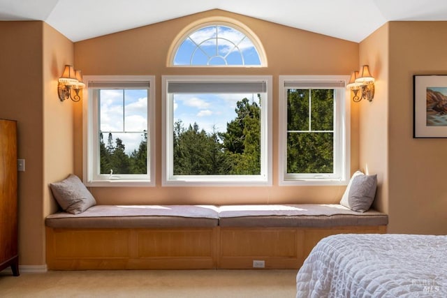 bedroom with lofted ceiling, multiple windows, and light colored carpet