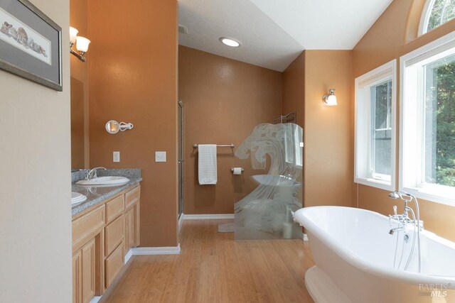 bathroom with a wealth of natural light, vanity, vaulted ceiling, and hardwood / wood-style flooring